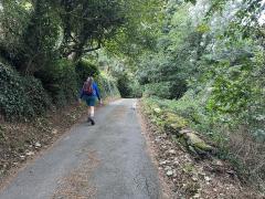 Long Wood - on the way out of Kingswear, and next to the Dartmouth Steam Railway tracks